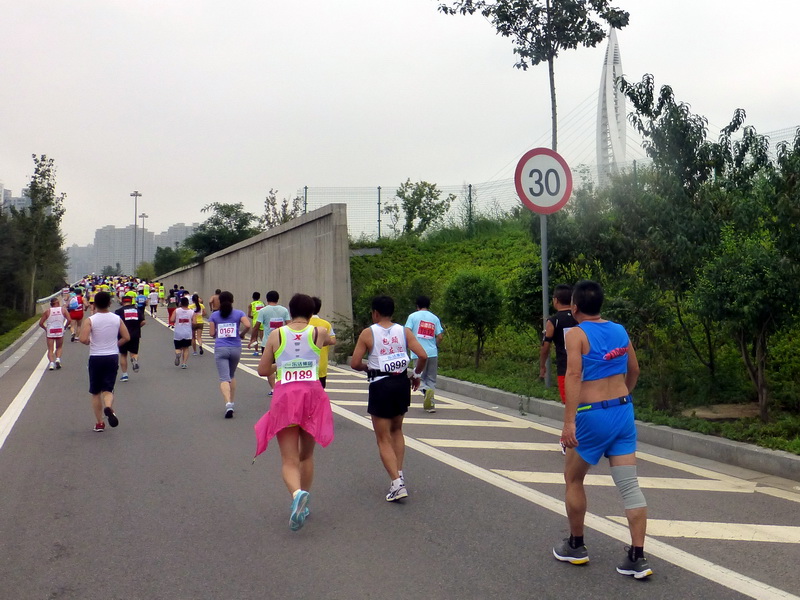 p1260184.jpg