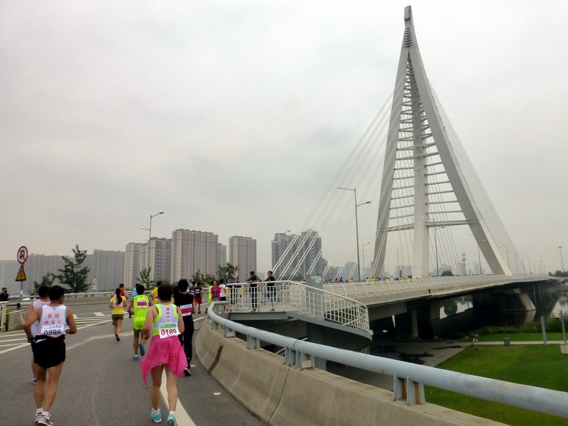 p1260187.jpg