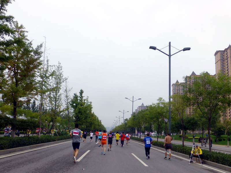 p1260194.jpg