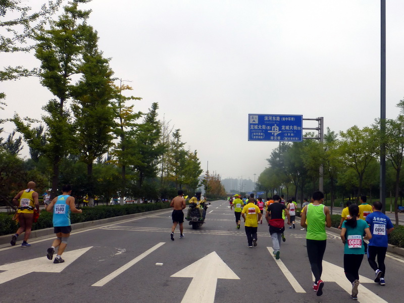 p1260196.jpg