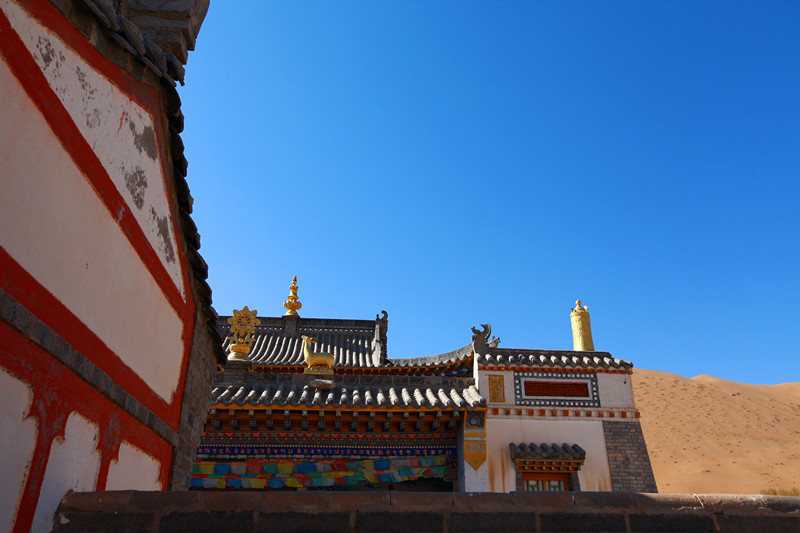 img_7591_副本.jpg