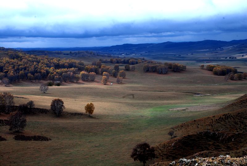 dsc_0990__.jpg