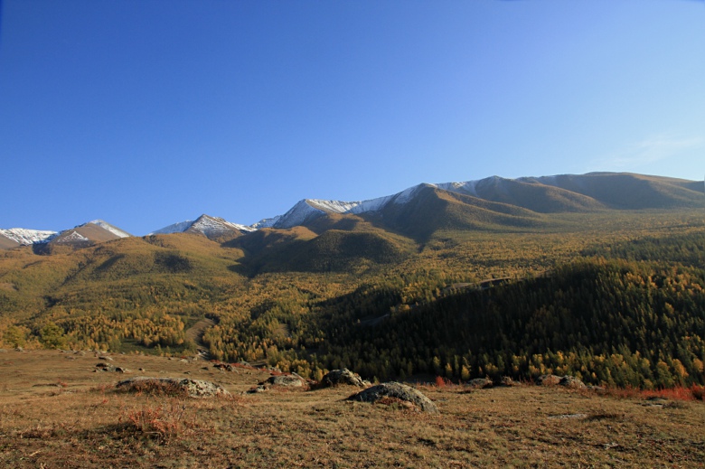 img_3306.jpg