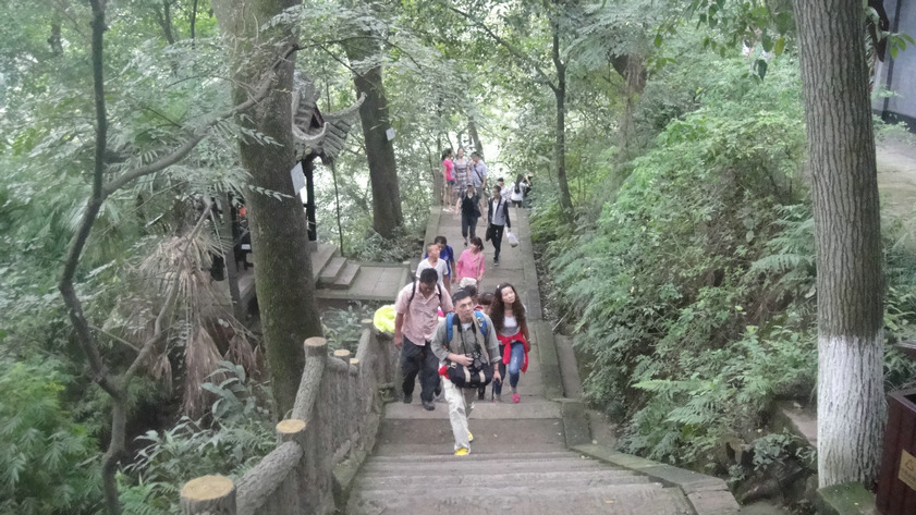 dsc05704.jpg