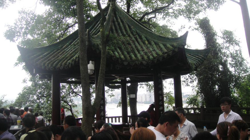 dsc05728.jpg