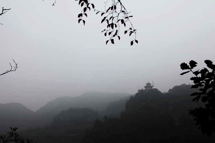 img_3518_副本.jpg