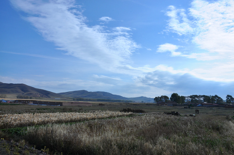 dsc_0010_.jpg