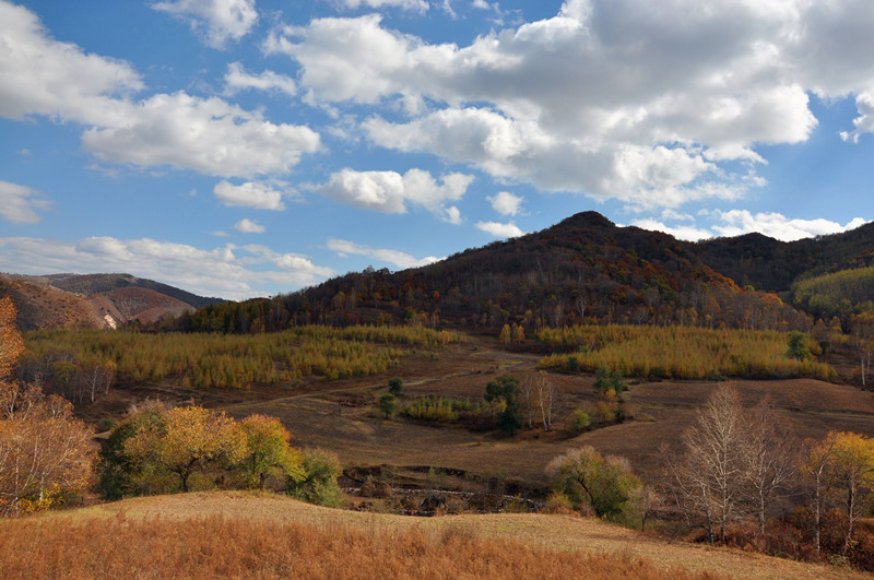 dsc_0241_.jpg