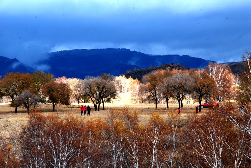 dsc_0046_.jpg