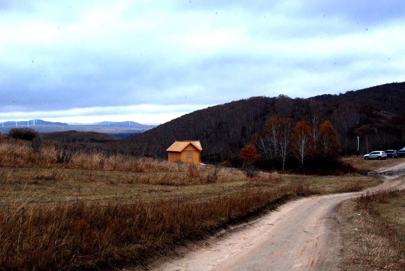dsc_0532_.jpg