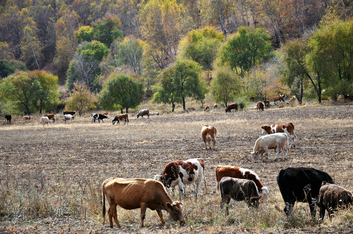 dsc_4507.jpg