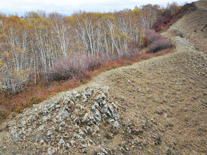 dsc_4783.jpg
