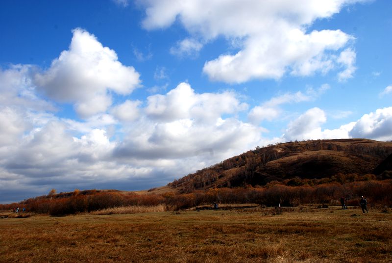 dsc_0714_.jpg