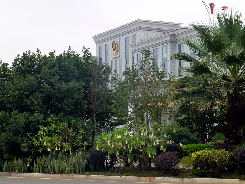 p1270161.jpg