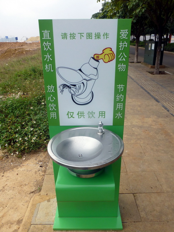 p1270156.jpg