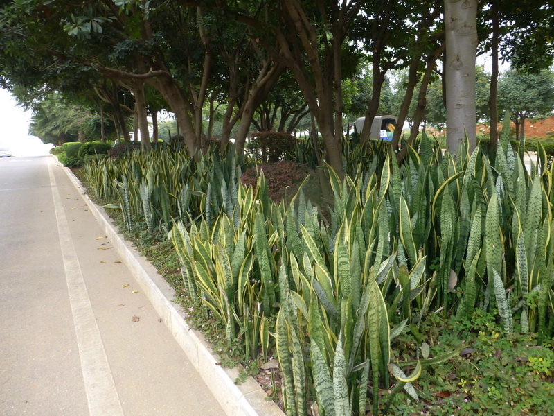 p1270150.jpg