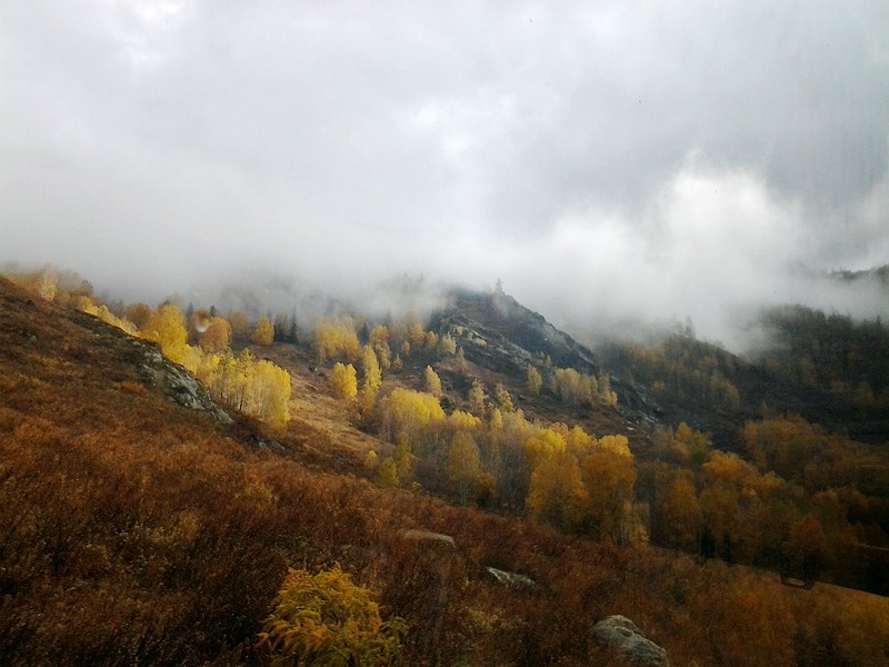 20140929_141749_.jpg