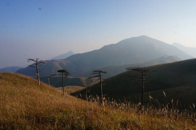 dsc07836.jpg