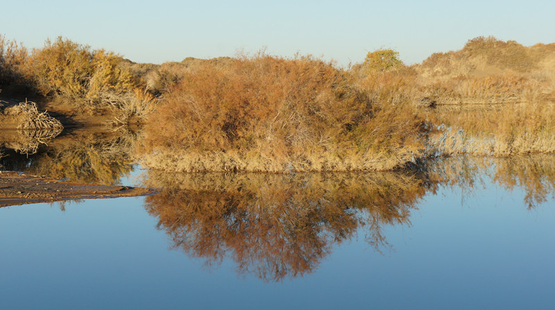 dsc03949_.jpg