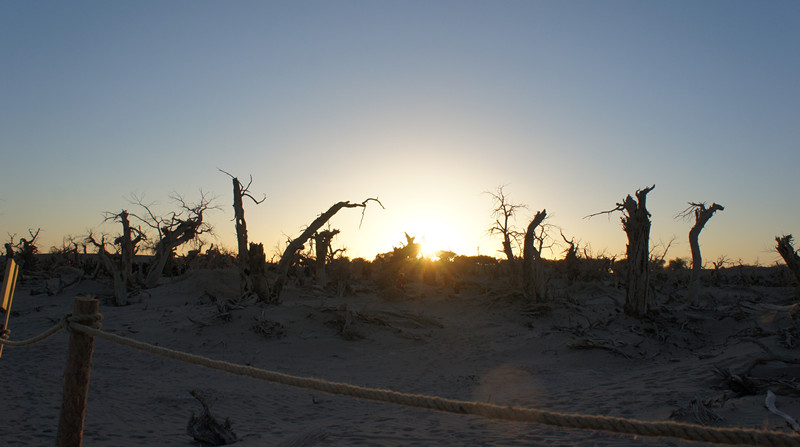 dsc03595_.jpg