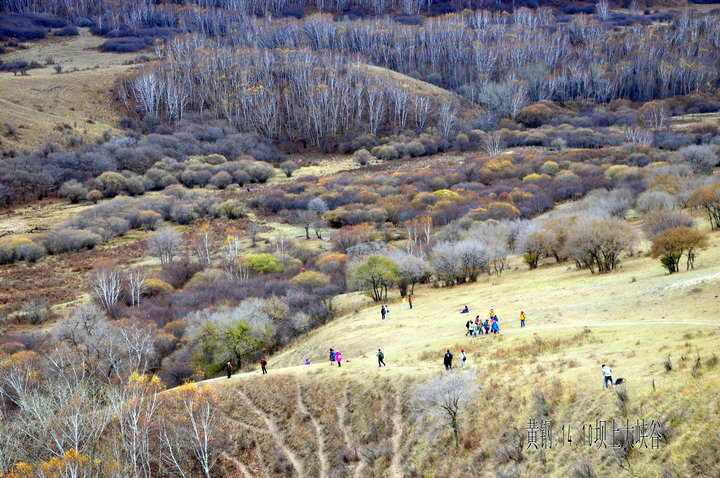 dsc_4995.jpg