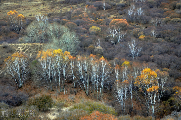 dsc_4991_.jpg