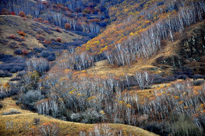 dsc_5007_.jpg
