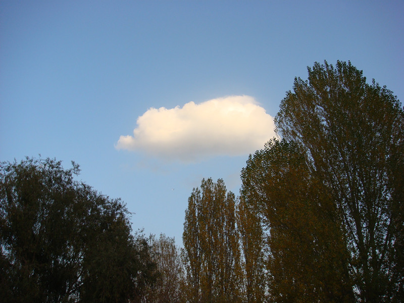 dsc08294_.jpg