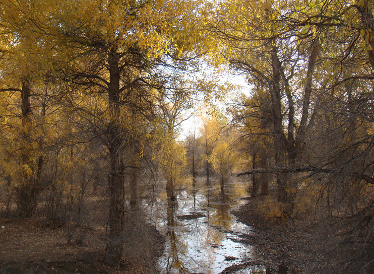 dsc08318_.jpg