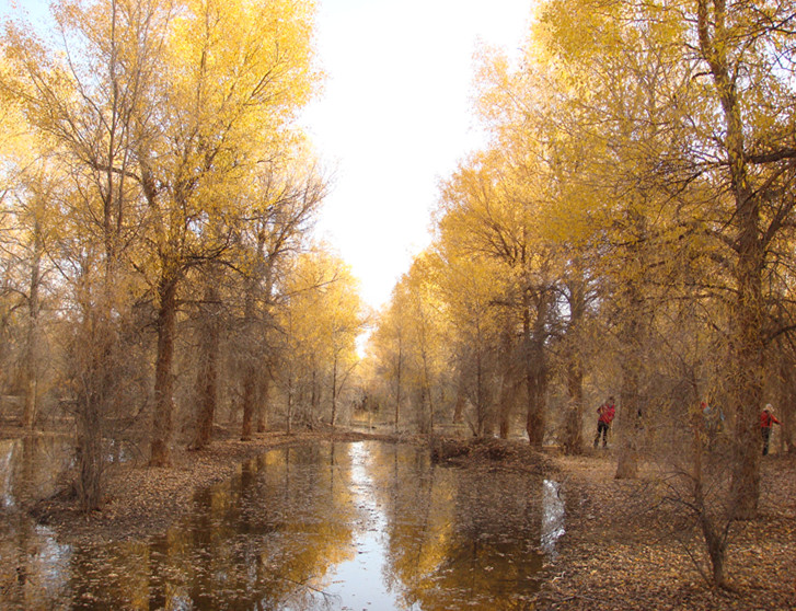dsc08320_.jpg