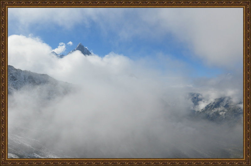 dsc_2003_1.jpg