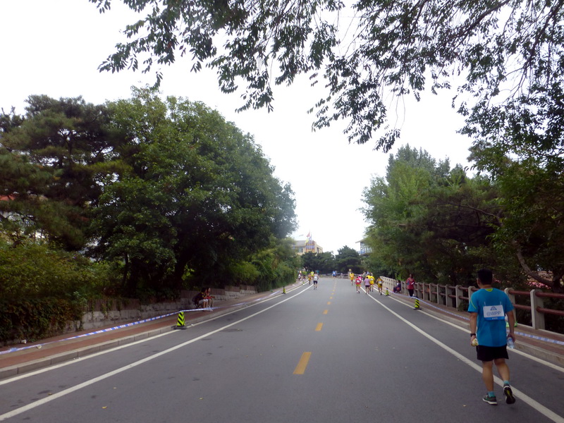 p1250929.jpg
