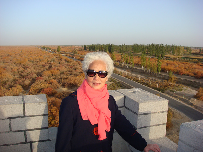 dsc08310_.jpg
