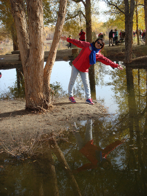 dsc08352_.jpg
