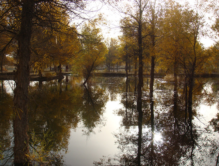 dsc08337_.jpg