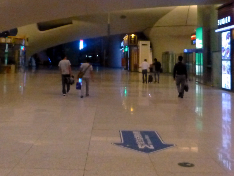 p1260300.jpg