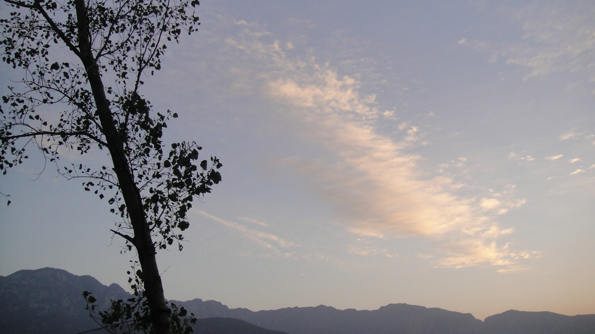 dsc07862.jpg