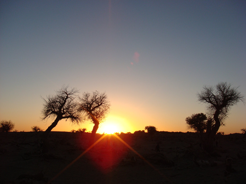 dsc08555_.jpg