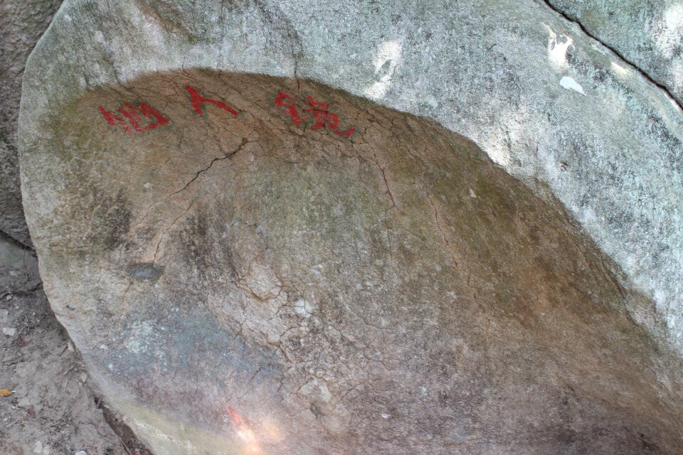 106.jpg
