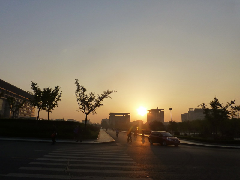p1260708.jpg