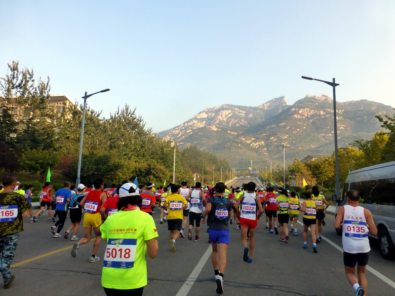 p1260730.jpg