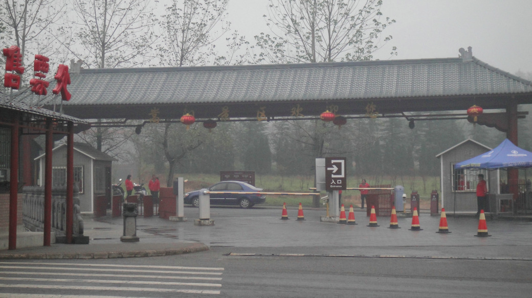 dsc08284.jpg