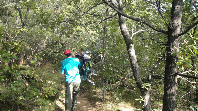dsc07896.jpg