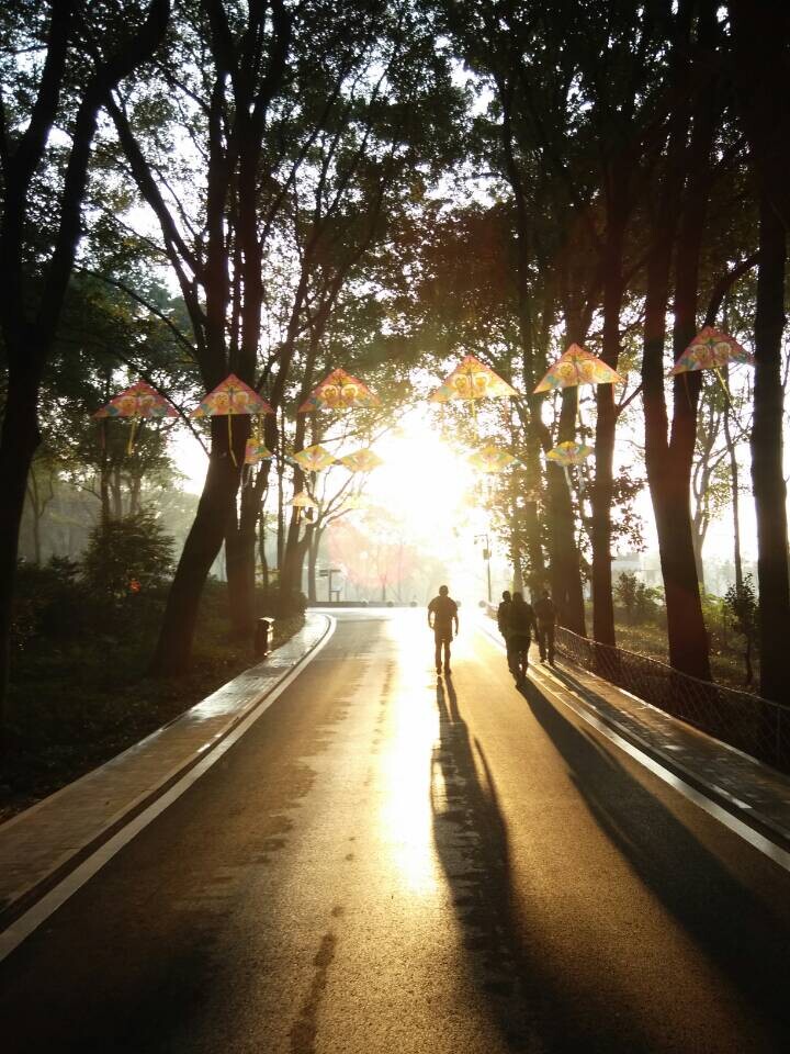 qqͼƬ20141025084542.jpg