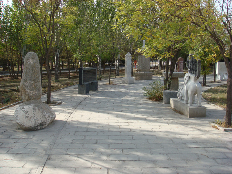 dsc08881_.jpg