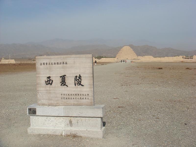dsc08884_.jpg
