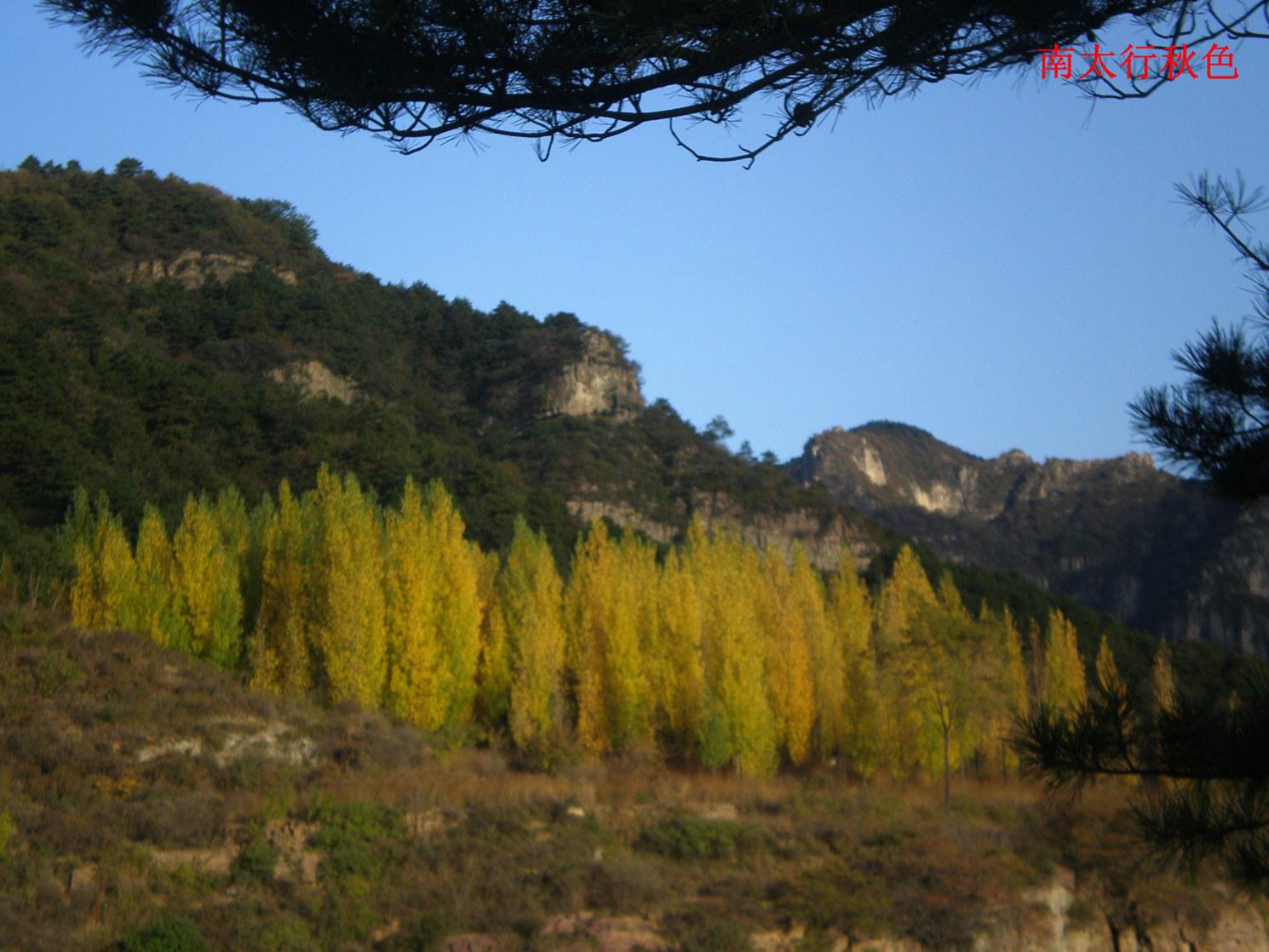 pa130021.jpg