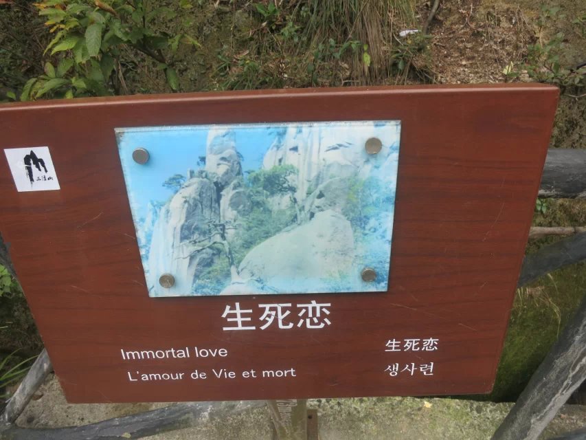 418.jpg