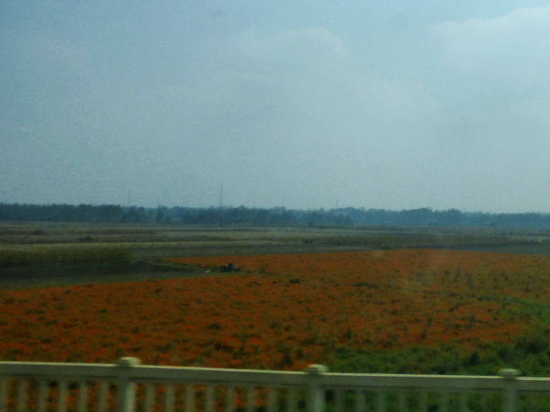 p1260645.jpg