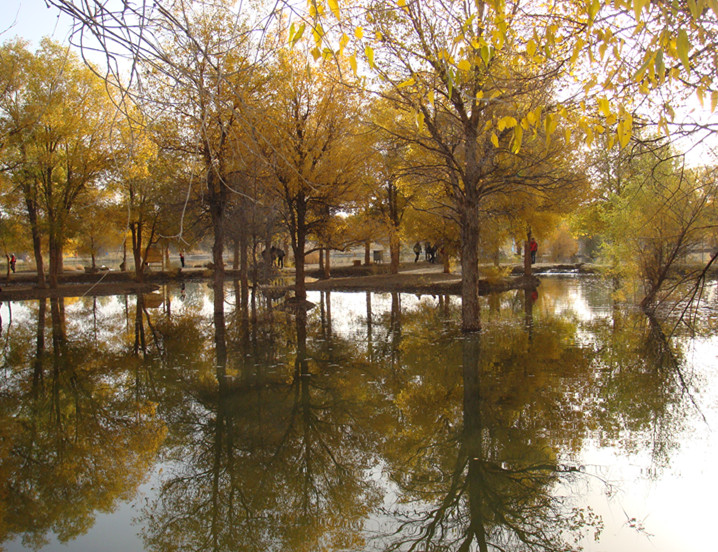 dsc08336_副本.jpg